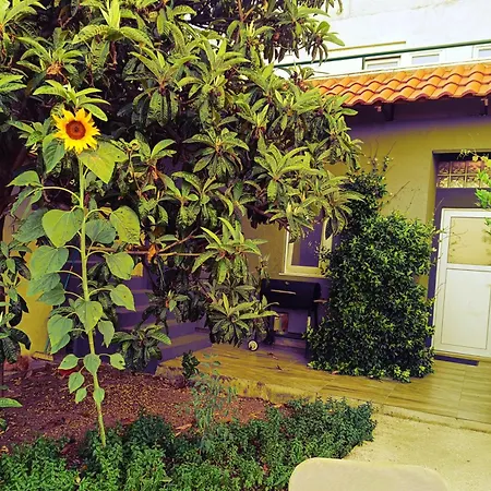 Appartement Leonica *