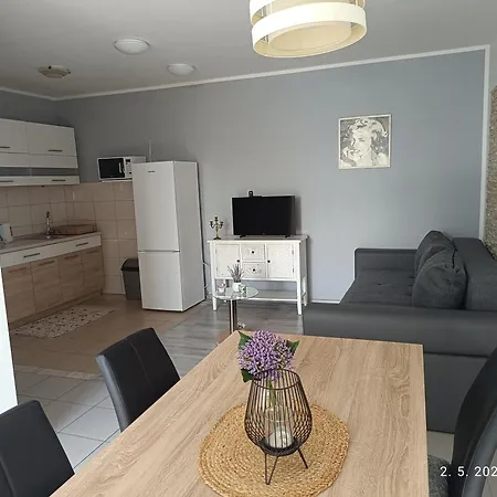 Apartment Leonica Omis