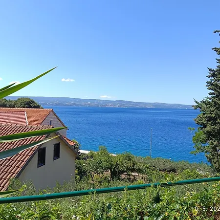 Leonica Omis